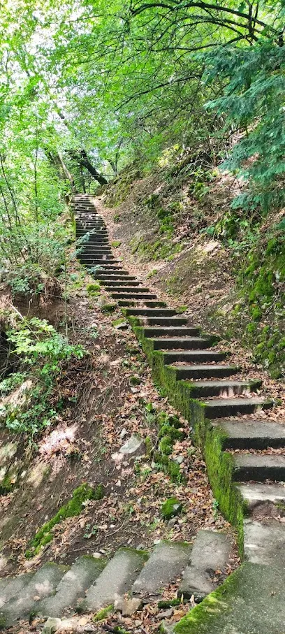 Image de Escaliers de Montreux