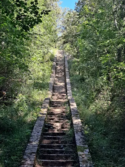 Image de Les escaliers