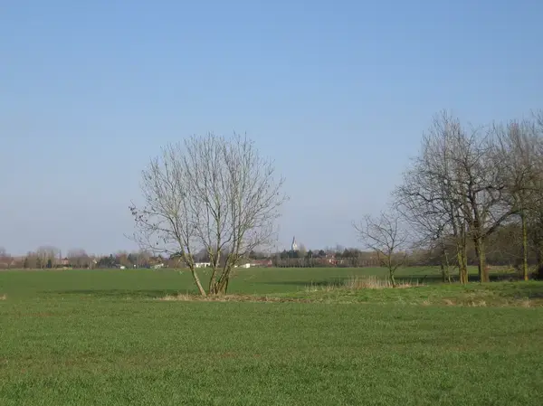 Conseil Monte Escalier Monte escalier Aubers