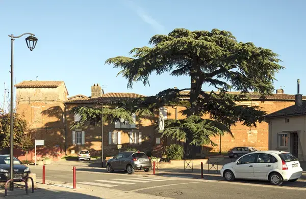 Conseil Monte Escalier Monte escalier Aussonne