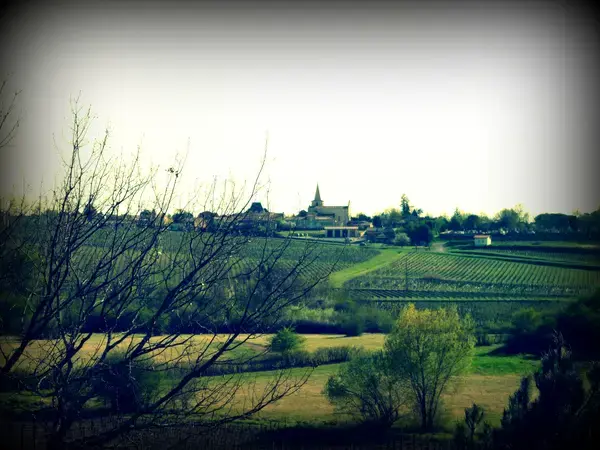 Conseil Monte Escalier Monte escalier Berson