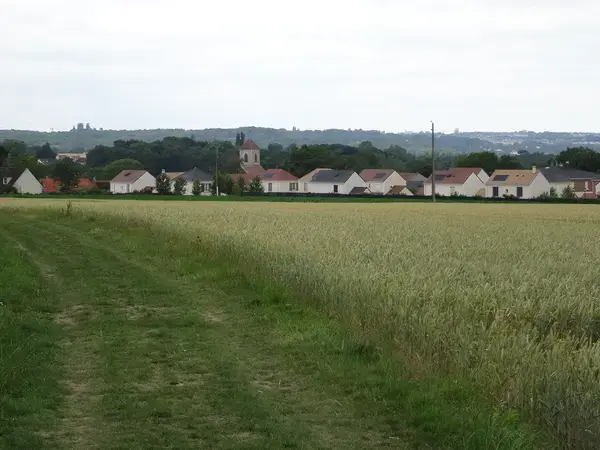 Conseil Monte Escalier Monte escalier Bouleurs