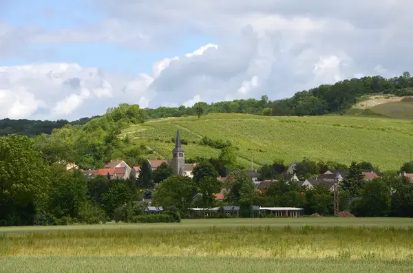 Conseil Monte Escalier Monte escalier Brasles