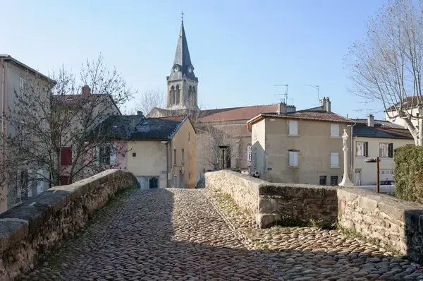 Conseil Monte Escalier Monte escalier Brignais