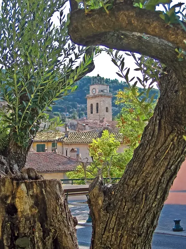 Conseil Monte Escalier Monte escalier Ceyreste