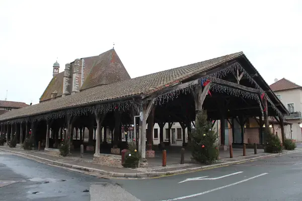 Conseil Monte Escalier Monte escalier Châtillon-sur-Chalaronne