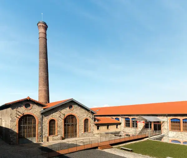 Conseil Monte Escalier Monte escalier Chazelles-sur-Lyon