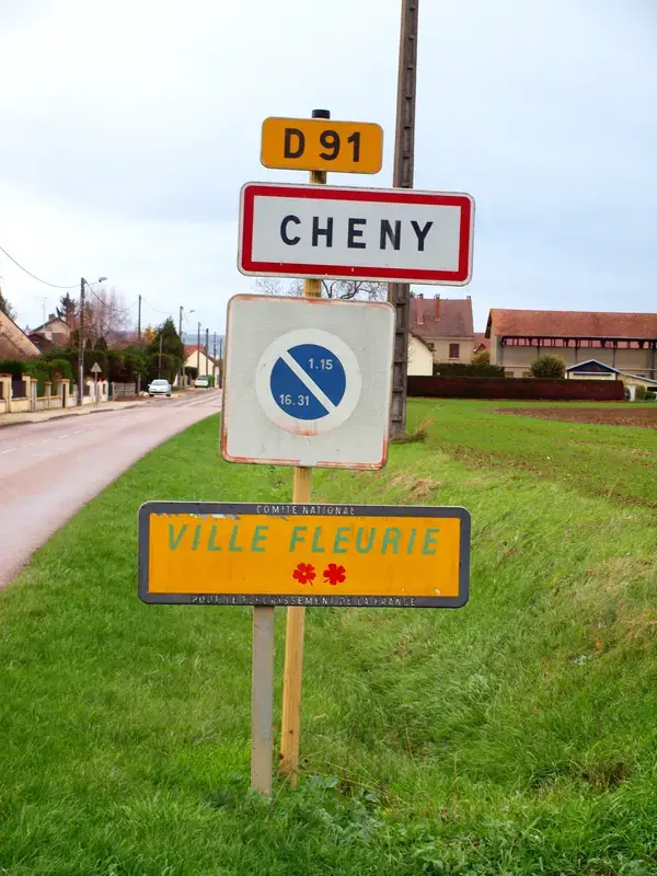 Conseil Monte Escalier Monte escalier Cheny