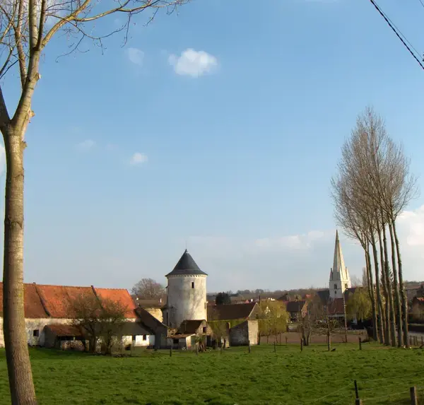 Conseil Monte Escalier Monte escalier Esquerdes