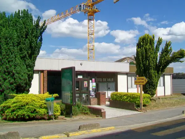 Conseil Monte Escalier Monte escalier Fosses
