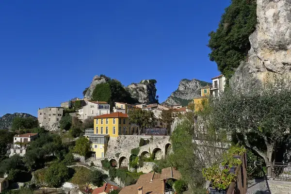 Conseil Monte Escalier Monte escalier Gilette