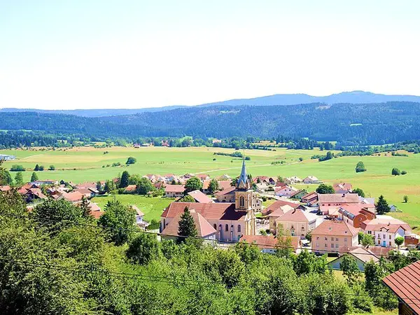 Conseil Monte Escalier Monte escalier Gilley
