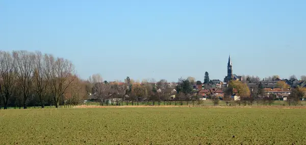 Conseil Monte Escalier Monte escalier Halluin