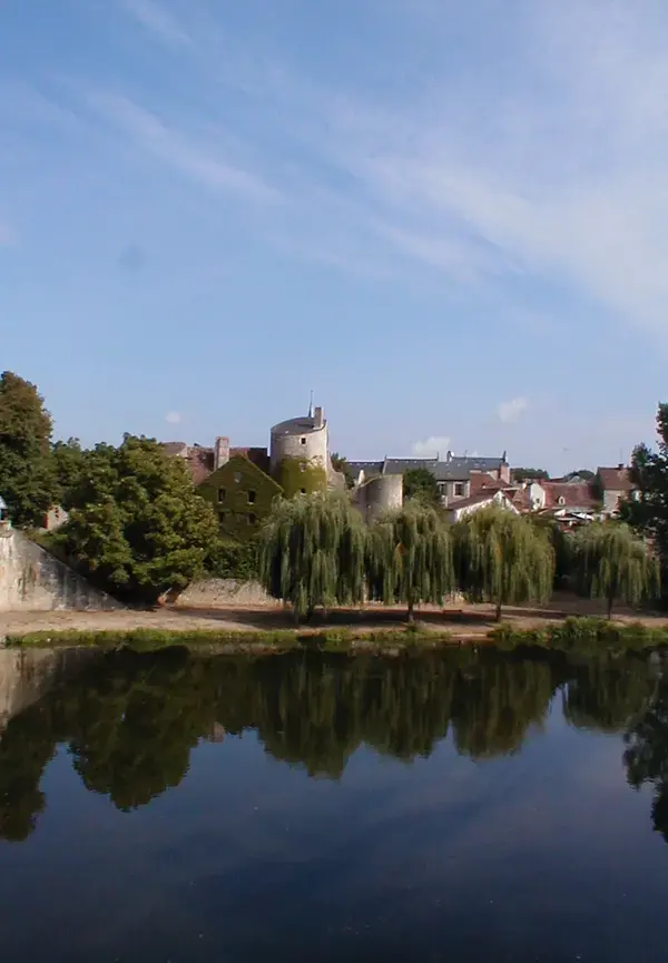 Conseil Monte Escalier Monte escalier Ingrandes