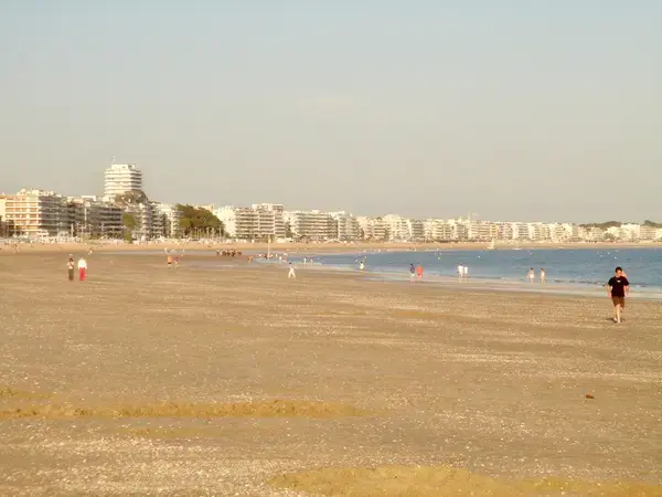 Conseil Monte Escalier Monte escalier La Baule-Escoublac