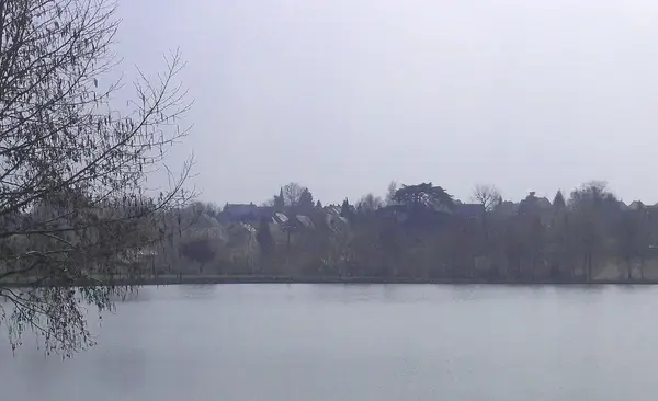 Conseil Monte Escalier Monte escalier La Bazoge