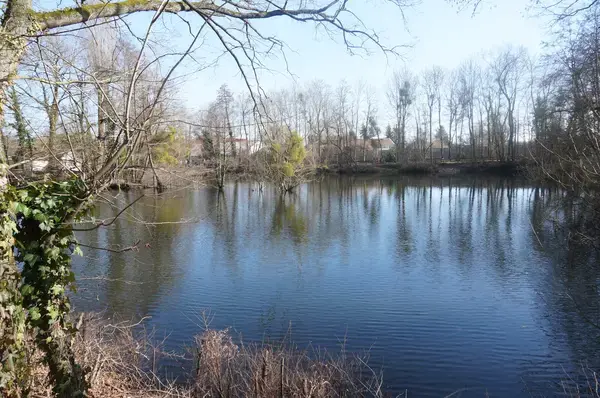 Conseil Monte Escalier Monte escalier La Chapelle-Saint-Luc