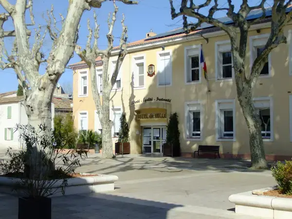 Conseil Monte Escalier Monte escalier La Farlède