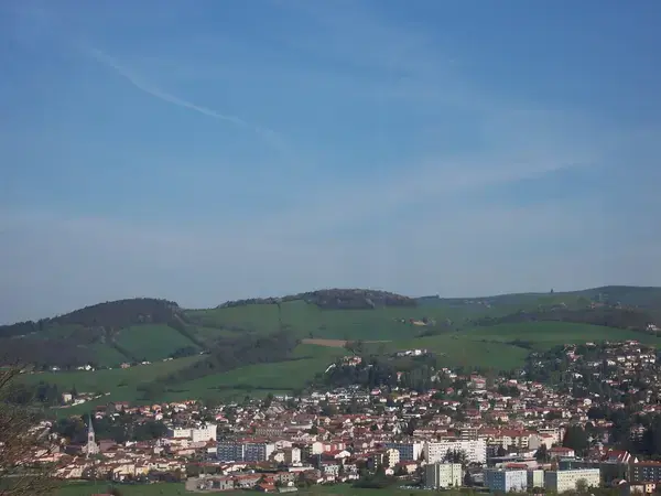 Conseil Monte Escalier Monte escalier La Talaudière