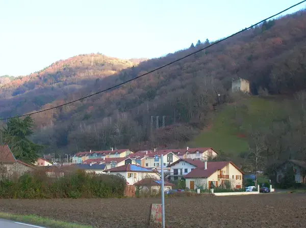 Conseil Monte Escalier Monte escalier Le Versoud