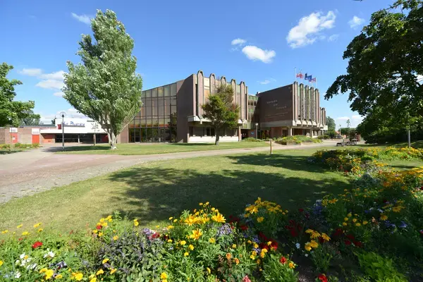 Conseil Monte Escalier Monte escalier Leffrinckoucke