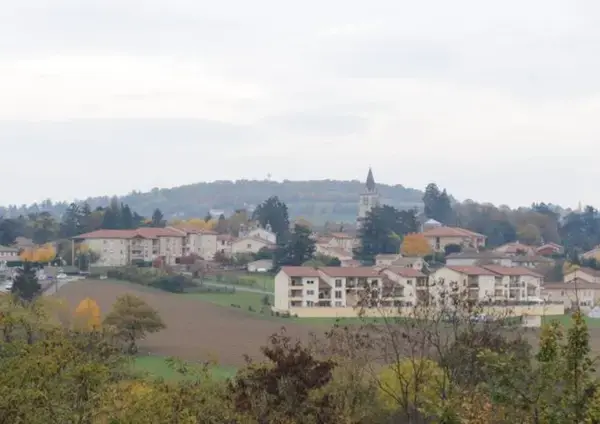 Conseil Monte Escalier Monte escalier Lentilly