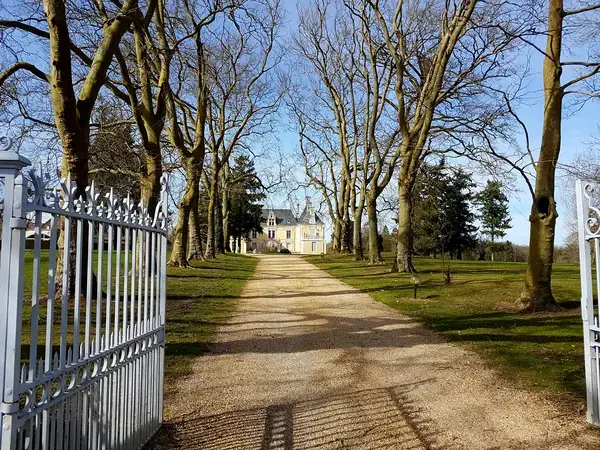 Conseil Monte Escalier Monte escalier Les Forges