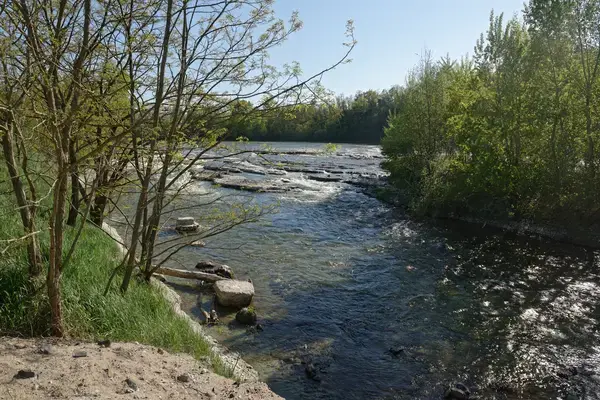 Conseil Monte Escalier Monte escalier Les Martres-d'Artière