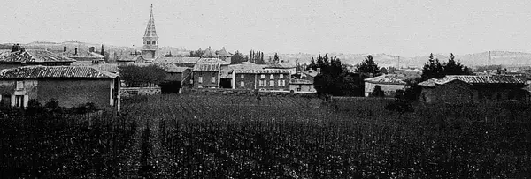 Conseil Monte Escalier Monte escalier Limas