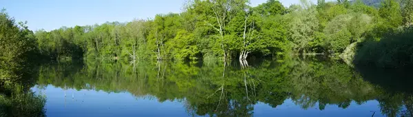 Conseil Monte Escalier Monte escalier Lyaud