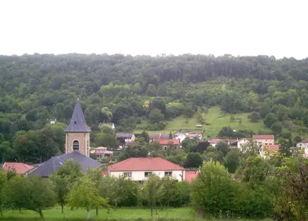 Conseil Monte Escalier Monte escalier Marbache