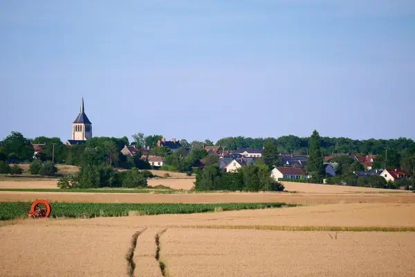 Conseil Monte Escalier Monte escalier Mardié