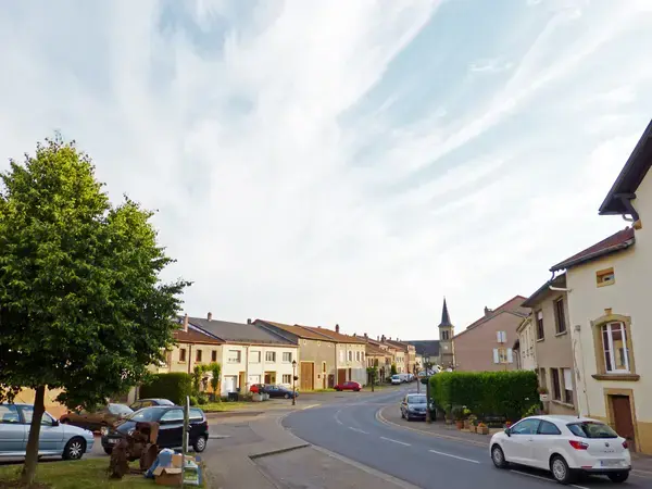 Conseil Monte Escalier Monte escalier Metzervisse