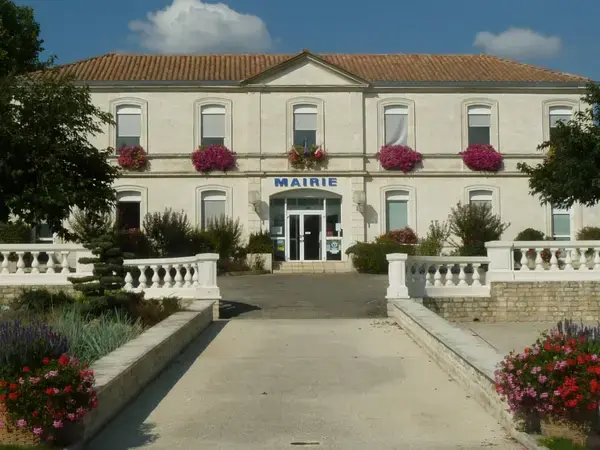 Conseil Monte Escalier Monte escalier Mornac