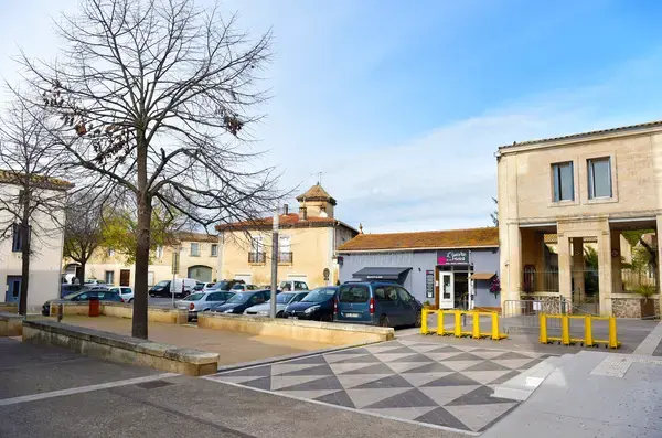 Conseil Monte Escalier Monte escalier Mudaison