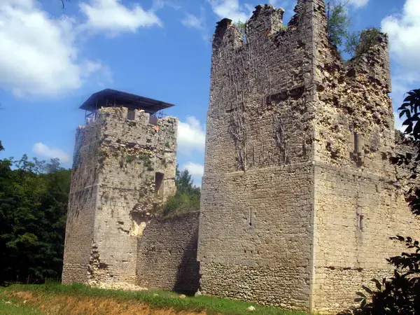 Conseil Monte Escalier Monte escalier Neuville-sur-Ain