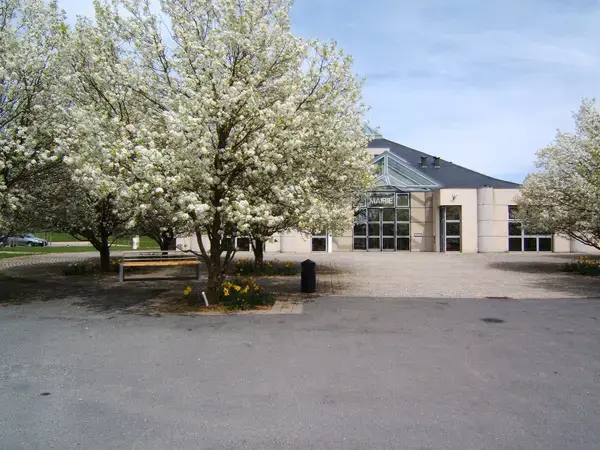 Conseil Monte Escalier Monte escalier Olemps