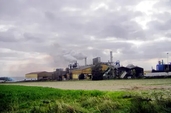 Conseil Monte Escalier Monte escalier Ormes