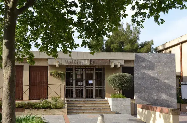 Conseil Monte Escalier Monte escalier Peyrestortes