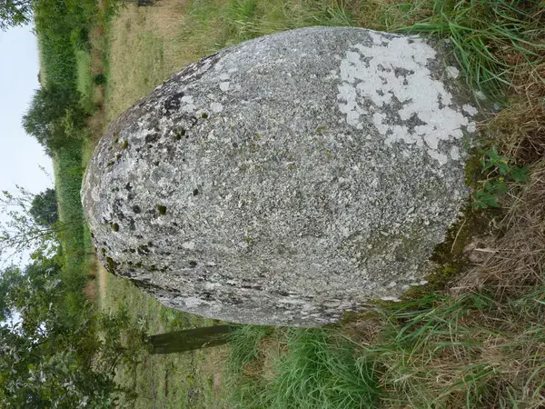 Conseil Monte Escalier Monte escalier Plaintel