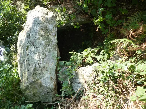 Conseil Monte Escalier Monte escalier Plénée-Jugon