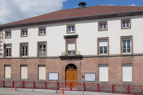 Conseil Monte Escalier Monte escalier Pouxeux