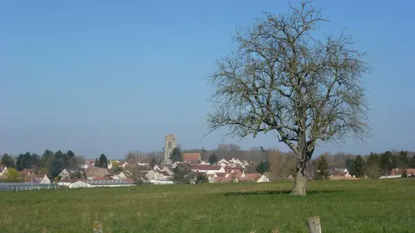 Conseil Monte Escalier Monte escalier Presles-en-Brie