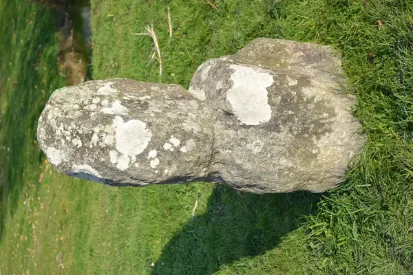 Conseil Monte Escalier Monte escalier Prinquiau