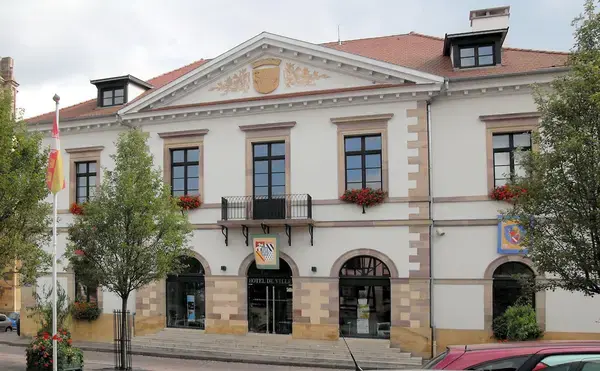 Conseil Monte Escalier Monte escalier Rouffach