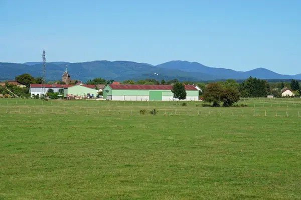 Conseil Monte Escalier Monte escalier Roye