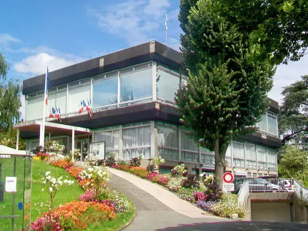 Conseil Monte Escalier Monte escalier Saint-Brice-sous-Forêt