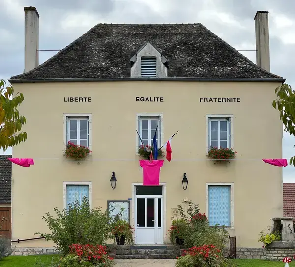 Conseil Monte Escalier Monte escalier Saint-Christophe-en-Bresse