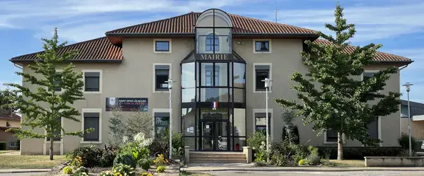 Conseil Monte Escalier Monte escalier Saint-Denis-lès-Bourg