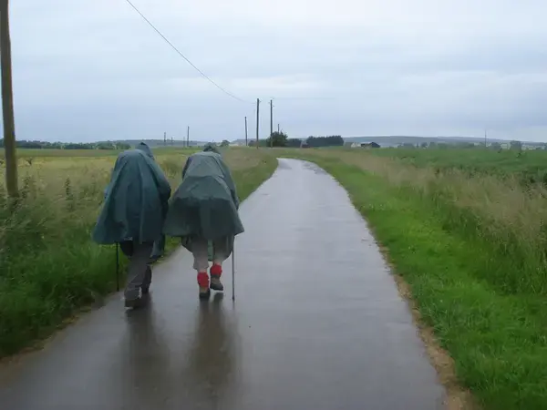 Conseil Monte Escalier Monte escalier Saint-Martin-des-Champs